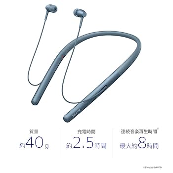 WI-H700/RM　h.ear in 2 Wireless　スリカエ対策実施 WI-H700/NM h.ear in 2 Wireless スリカエ対策実施